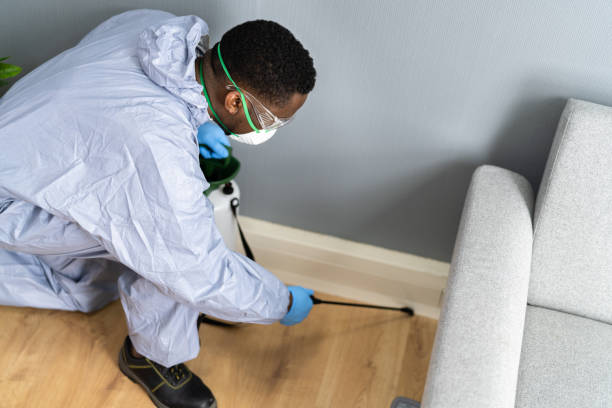 Best Residential Pest Control  in Minster, OH